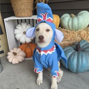 Rubies Wizard of Oz Winged Monkey Costume for Dogs. Size Medium.